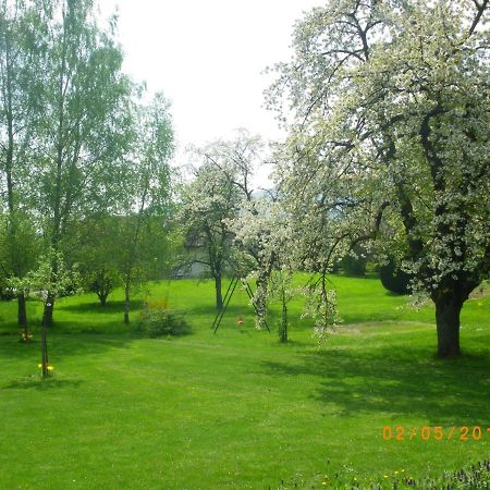 Bed and Breakfast Entre Thur Et Montagne Willer-sur-Thur Экстерьер фото