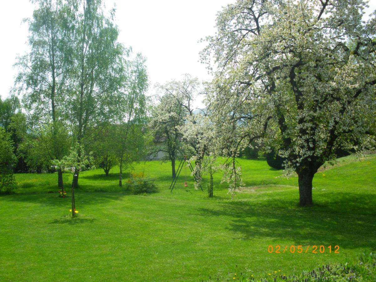 Bed and Breakfast Entre Thur Et Montagne Willer-sur-Thur Экстерьер фото